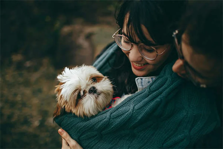 犬の運動しすぎサイン5つ｜見逃せない危険な兆候と正しい対策